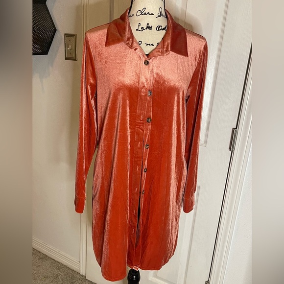 Velvet Button-Up Dress in Rust in size Medium excellent condition - Picture 2 of 9